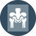 Costelas Radiologia Radioscopia Icon