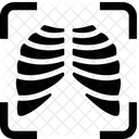 Costelas Anatomia Humano Ícone