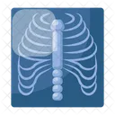 Radiografia Informe De Rayos X Icono