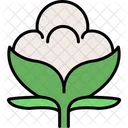 Cotton Flower Plant Icon