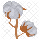 Cotton Branch Cotton Wool Icon