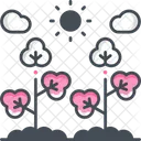 Cotton Bud  Icon