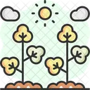 Cotton Bud  Icon