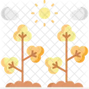 Cotton Bud  Icon