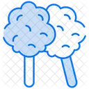 Cotton Candy Dessert Sweet Icon