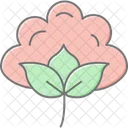 Cotton Field Cotton Field Icon