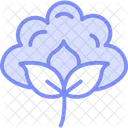 Cotton field  Icon