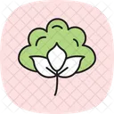Cotton field  Icon