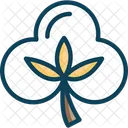 Cotton Flower  Icon