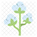 Cotton flower  Icon