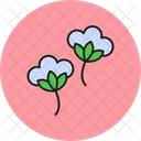 Cotton flowers  Icon