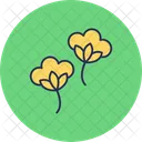 Cotton flowers  Icon
