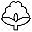 Cotton Icon