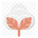 Cotton  Icon