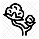 Cotton  Icon