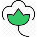 Cotton  Icon