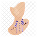 Cou  Icône