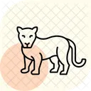 Cougar Animal Wildlife Icon