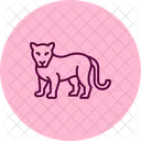 Cougar Animal Wildlife Icon