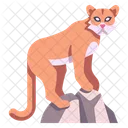 Cougars  Icon