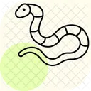 Couleuvre A Lait Couleuvre A Lait Reptile Icône