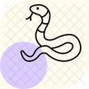 Couleuvre A Nez Plat Couleuvre A Nez Plat Reptile Icône