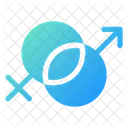 Couple Female Male Icon