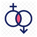 Couple Gender Sign Gender Symbol Icon