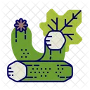 Courgette Icon