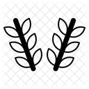  Icône