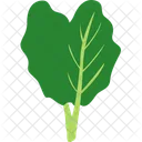 Couve Vegetal Vegetariano Icon