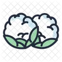 Couve Flor Vegetal Saudavel Ícone