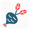 Vegetal Nabo Organico Icon