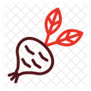Vegetal Nabo Organico Icon