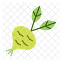 Couve Rabano Vegetais Nabo Ícone