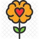 Coverage Health Healthcare Icon