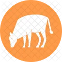 Cow Farm Animals Icon