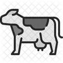Cow Cattle Animal Icon