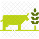 Cow Cattle Livestock Icon