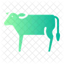 Cow Cattle Farming Icon