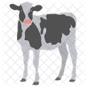 Cow Calf Calf Baby Cow Icon