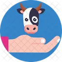 Cow Care Cow Animal Care Icon