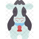 Cow Cattle  Icon