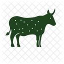 Cow  Icon