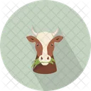 Cow Head  Icon