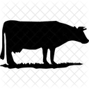 Cow Animals Icon
