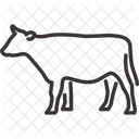 Animal Land Animal Terrestrial Animal Icon