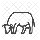 Cow Animal Cattle Icon