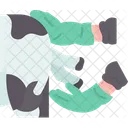 Cow Birth Animal 아이콘