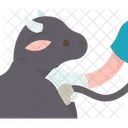 Cow Health Check 아이콘
